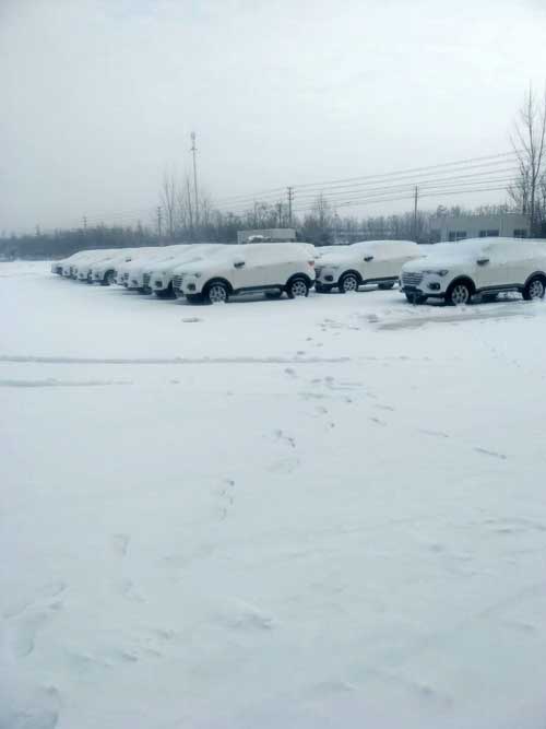 暴雪车辆受阻.jpg