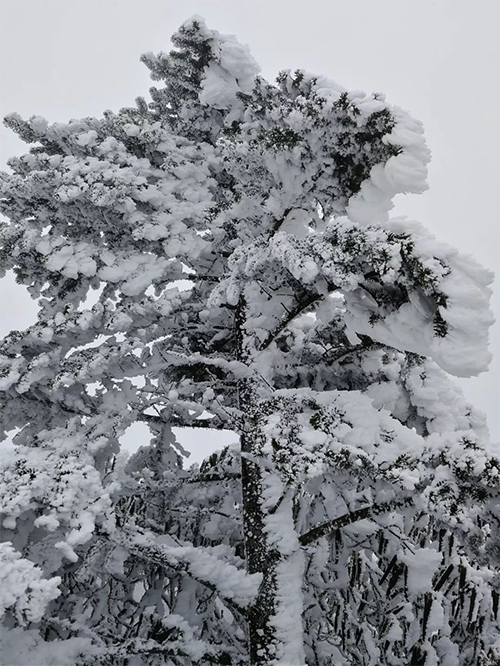 雪景2.jpg