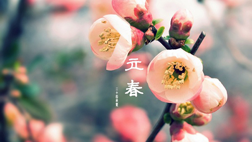 立春图片.jpg