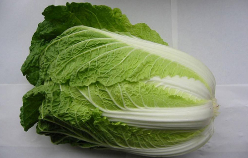 大白菜.jpg