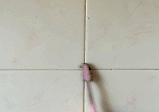 5.gif